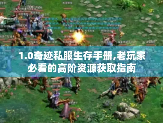 1.0奇迹私服生存手册,老玩家必看的高阶资源获取指南 1.0奇迹私服生存手册,老玩家必看的高阶资源获取指南