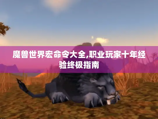 魔兽世界宏命令大全,职业玩家十年经验终极指南