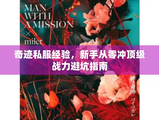 奇迹私服经验,新手从零冲顶级战力避坑指南 奇迹私服经验,新手从零冲顶级战力避坑指南