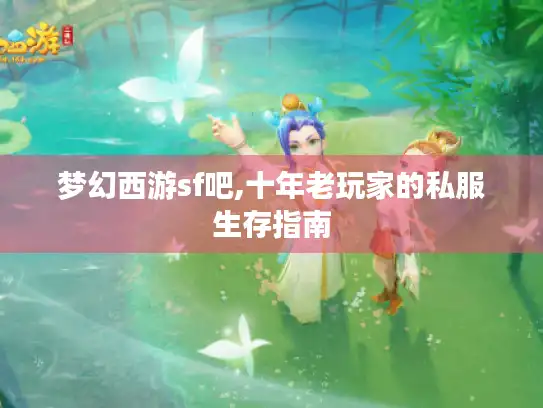 梦幻西游sf吧,十年老玩家的私服生存指南