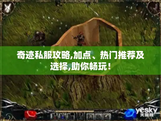 奇迹私服攻略,加点、热门推荐及选择,助你畅玩！