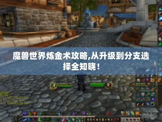 魔兽世界炼金术攻略,从升级到分支选择全知晓！