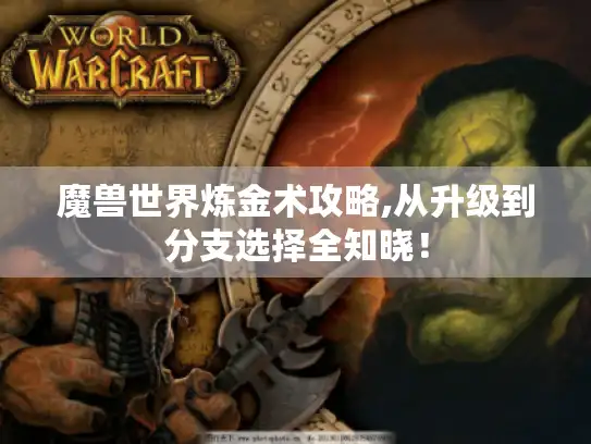 魔兽世界炼金术攻略,从升级到分支选择全知晓！