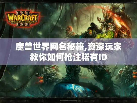 魔兽世界网名秘籍,资深玩家教你如何抢注稀有ID