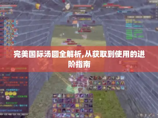 完美国际汤圆全解析,从获取到使用的进阶指南