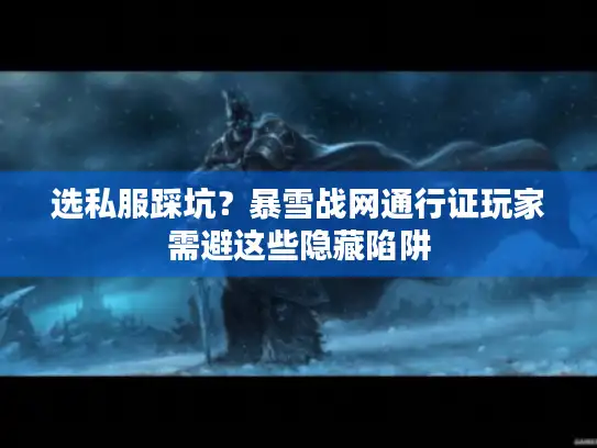 选私服踩坑？暴雪战网通行证玩家需避这些隐藏陷阱