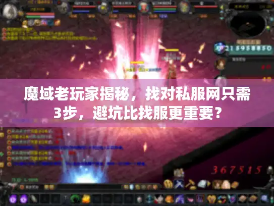 魔域老玩家揭秘，找对私服网只需3步，避坑比找服更重要？