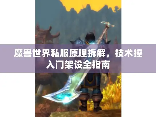 魔兽世界私服原理拆解，技术控入门架设全指南