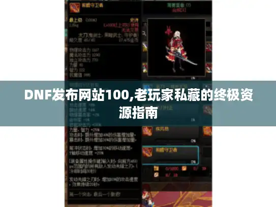 DNF发布网站100,老玩家私藏的终极资源指南