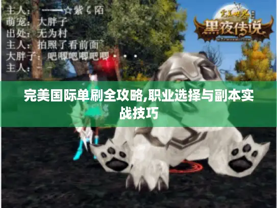 完美国际单刷全攻略,职业选择与副本实战技巧