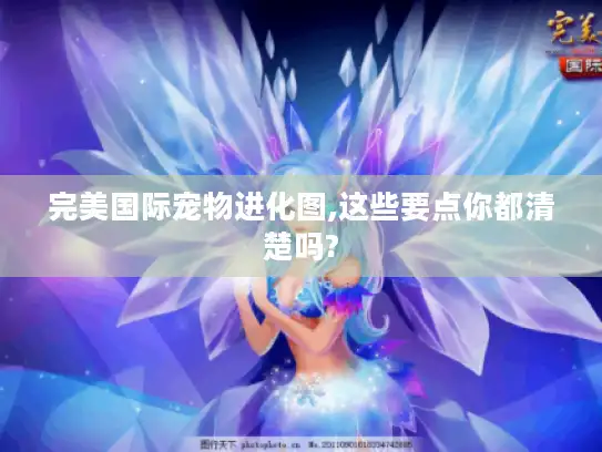 完美国际宠物进化图,这些要点你都清楚吗?