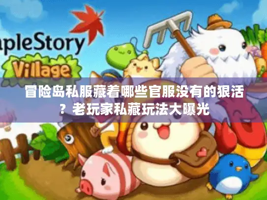 冒险岛私服藏着哪些官服没有的狠活？老玩家私藏玩法大曝光