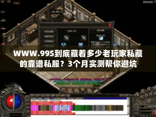 WWW.99S到底藏着多少老玩家私藏的靠谱私服?3个月实测帮你避坑 WWW.99S到底藏着多少老玩家私藏的靠谱私服?3个月实测帮你避坑