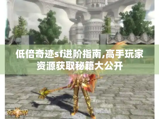 低倍奇迹sf进阶指南,高手玩家资源获取秘籍大公开
