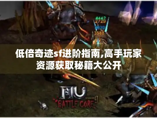 低倍奇迹sf进阶指南,高手玩家资源获取秘籍大公开