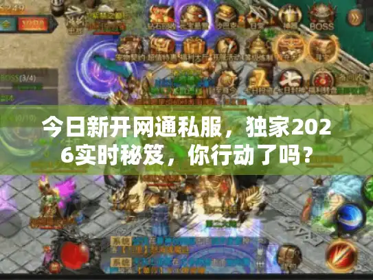 今日新开网通私服，独家2026实时秘笈，你行动了吗？