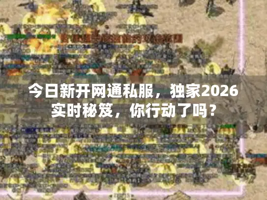 今日新开网通私服，独家2026实时秘笈，你行动了吗？