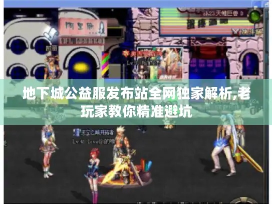 地下城公益服发布站全网独家解析,老玩家教你精准避坑