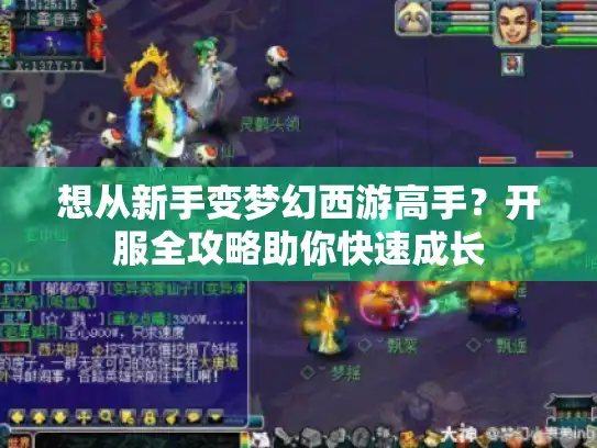 想从新手变梦幻西游高手？开服全攻略助你快速成长