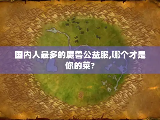 国内人最多的魔兽公益服,哪个才是你的菜? 国内人最多的魔兽公益服,哪个才是你的菜?