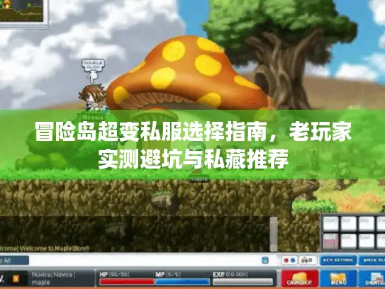 冒险岛超变私服选择指南，老玩家实测避坑与私藏推荐