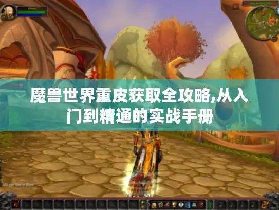 魔兽世界重皮获取全攻略,从入门到精通的实战手册