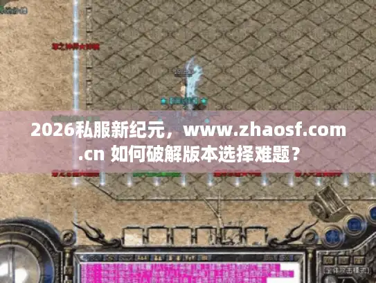 2026私服新纪元，www.zhaosf.com.cn 如何破解版本选择难题？