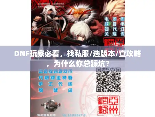 DNF玩家必看，找私服/选版本/查攻略，为什么你总踩坑？