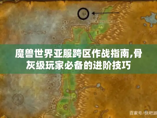 魔兽世界亚服跨区作战指南,骨灰级玩家必备的进阶技巧