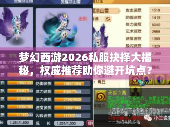 梦幻西游2026私服抉择大揭秘,权威推荐助你避开坑点? 梦幻西游2026私服抉择大揭秘,权威推荐助你避开坑点?