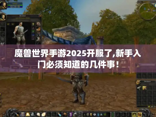 魔兽世界手游2025开服了,新手入门必须知道的几件事！