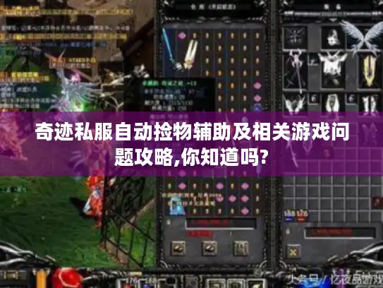 奇迹私服自动捡物辅助及相关游戏问题攻略,你知道吗? 奇迹私服自动捡物辅助及相关游戏问题攻略,你知道吗?