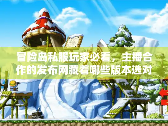 冒险岛私服玩家必看，主播合作的发布网藏着哪些版本选对技巧？