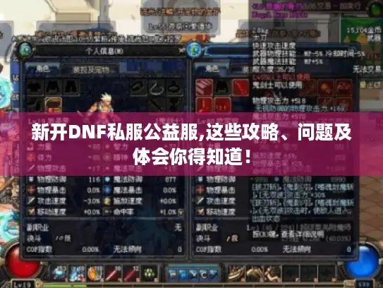 新开DNF私服公益服,这些攻略、问题及体会你得知道！