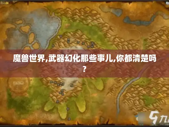 魔兽世界,武器幻化那些事儿,你都清楚吗?