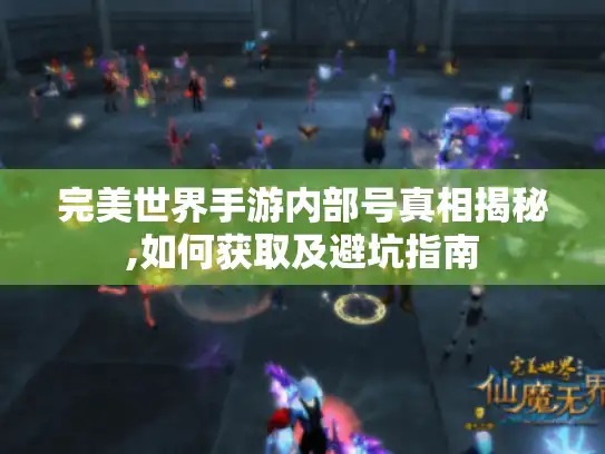 完美世界手游内部号真相揭秘,如何获取及避坑指南