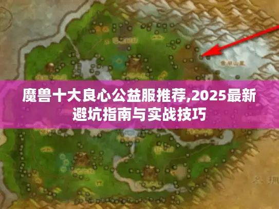 魔兽十大良心公益服推荐,2025最新避坑指南与实战技巧