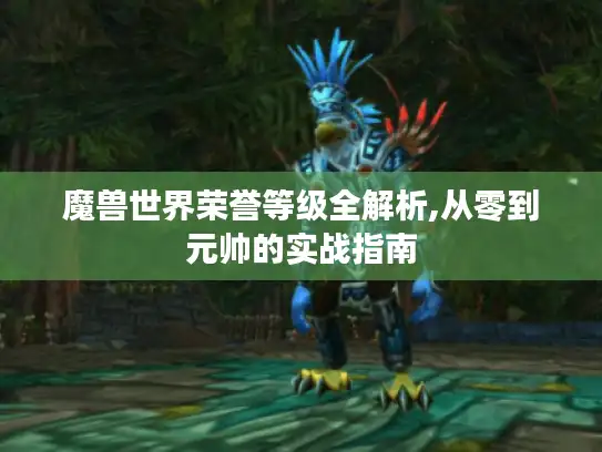 魔兽世界荣誉等级全解析,从零到元帅的实战指南