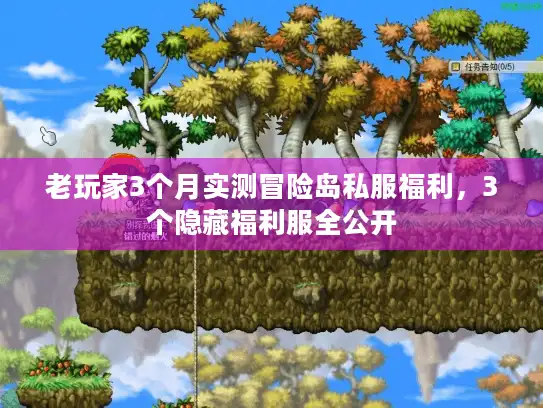 老玩家3个月实测冒险岛私服福利,3个隐藏福利服全公开 老玩家3个月实测冒险岛私服福利,3个隐藏福利服全公开