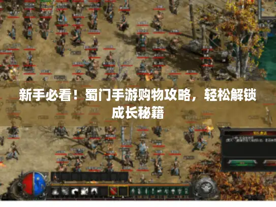 新手必看！蜀门手游购物攻略，轻松解锁成长秘籍