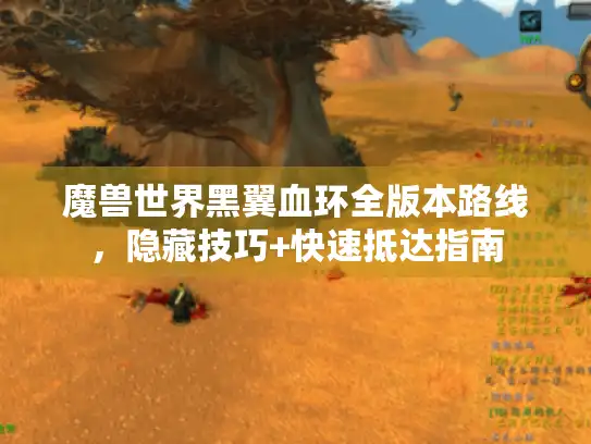 魔兽世界黑翼血环全版本路线，隐藏技巧+快速抵达指南