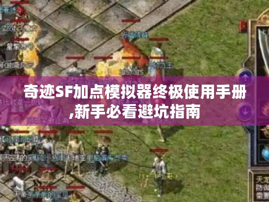 奇迹SF加点模拟器终极使用手册,新手必看避坑指南