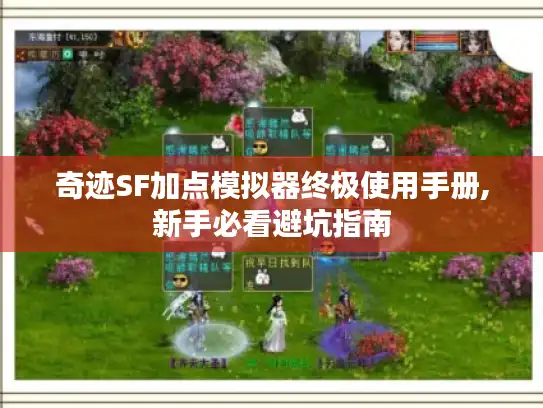 奇迹SF加点模拟器终极使用手册,新手必看避坑指南