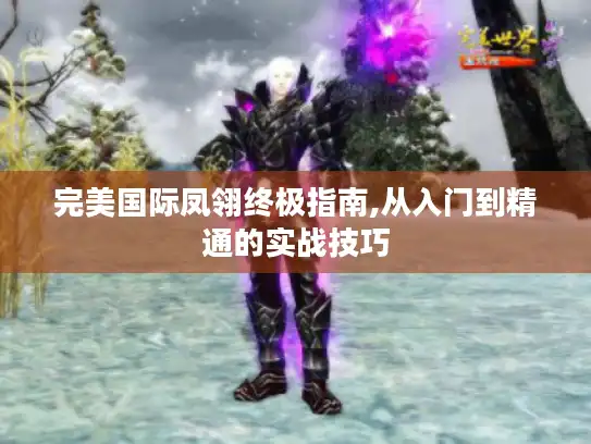 完美国际凤翎终极指南,从入门到精通的实战技巧