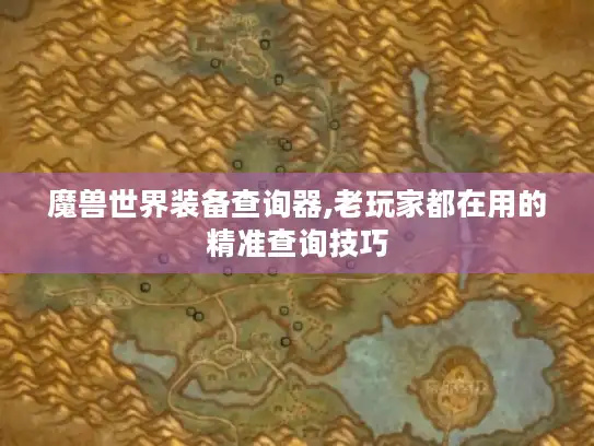 魔兽世界装备查询器,老玩家都在用的精准查询技巧