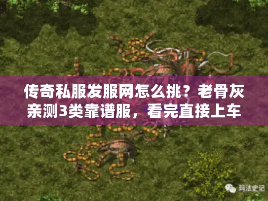 传奇私服发服网怎么挑?老骨灰亲测3类靠谱服,看完直接上车不踩坑 传奇私服发服网怎么挑?老骨灰亲测3类靠谱服,看完直接上车不踩坑