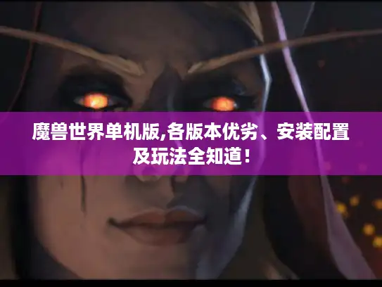 魔兽世界单机版,各版本优劣、安装配置及玩法全知道！