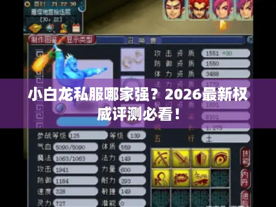 小白龙私服哪家强?2026最新权威评测必看! 小白龙私服哪家强?2026最新权威评测必看!