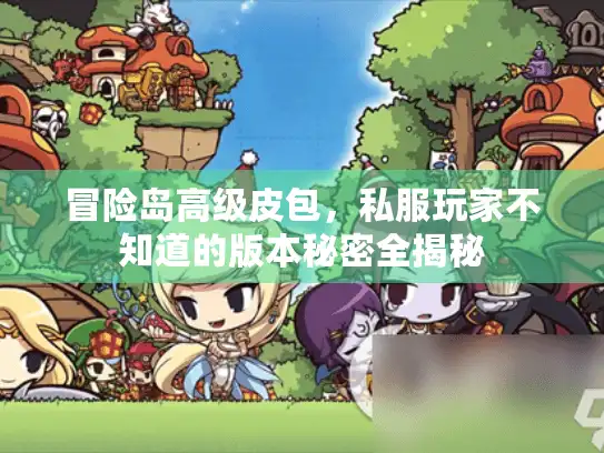 冒险岛高级皮包，私服玩家不知道的版本秘密全揭秘
