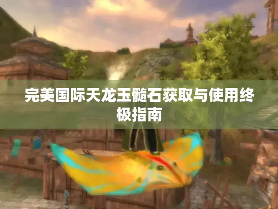 完美国际天龙玉髓石获取与使用终极指南